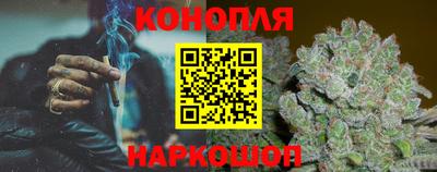 spice Камышлов