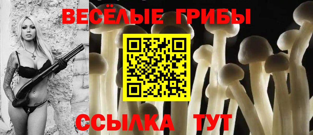 Галлюциногенные грибы Psilocybe  Псилоцибиновые грибы GOLDEN TEACHER  Кувандык  Вход с VPN 